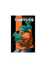 IDW Publishing Teenage Mutant Ninja Turtles #2 Cover D J. Gonzo Variant