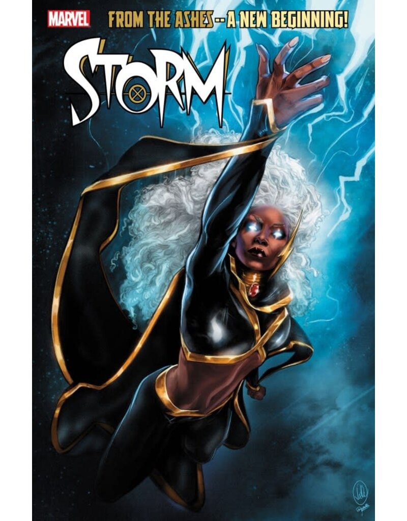 Marvel Comics Storm #1 1:50 Joëlle Jones Variant
