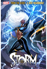 Marvel Comics Storm #1 Lucas Werneck Variant