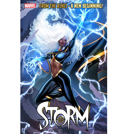 Marvel Comics Storm #1 Lucas Werneck Variant