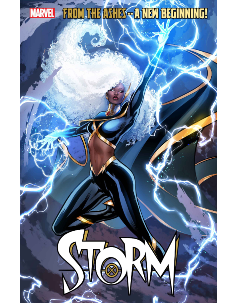 Marvel Comics Storm #1 Lucas Werneck Variant