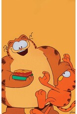 BOOM! STUDIOS Garfield #3 Cover C 1:5 J. J. Harrison Virgin Variant