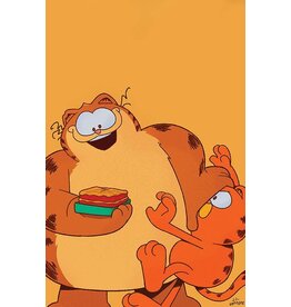 BOOM! STUDIOS Garfield #3 Cover C 1:5 J. J. Harrison Virgin Variant