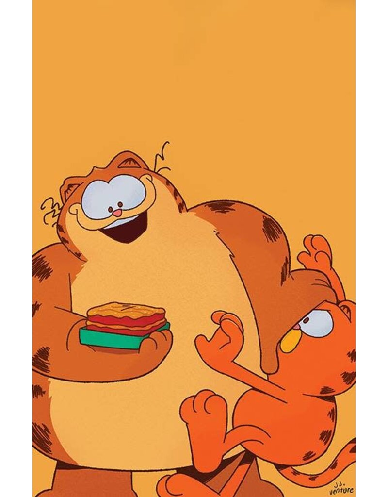 BOOM! STUDIOS Garfield #3 Cover C 1:5 J. J. Harrison Virgin Variant