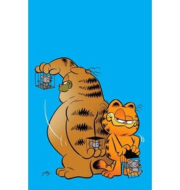 BOOM! STUDIOS Garfield #3 Cover B Jay Stephens Variant