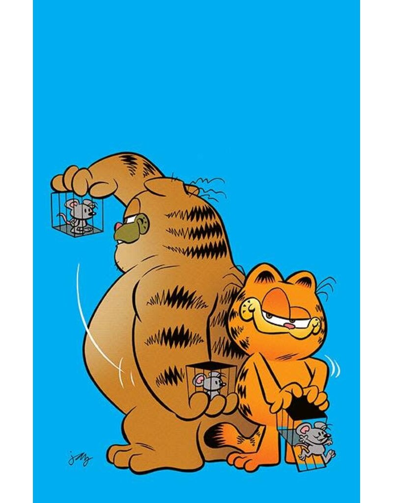 BOOM! STUDIOS Garfield #3 Cover B Jay Stephens Variant