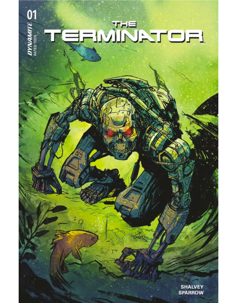 The Terminator #1 Cover D David Cousens Variant
