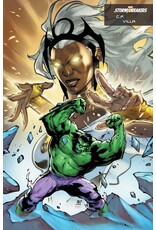 Marvel Comics The Incredible Hulk #18 Carlos Fabian Villa Stormbreakers Variant