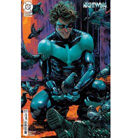 DC COMICS Nightwing #119 Cover B Dan Panosian Card Stock Variant