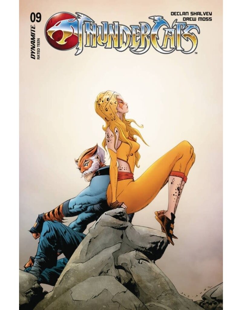 Thundercats #9 Cover D Jae Lee Variant