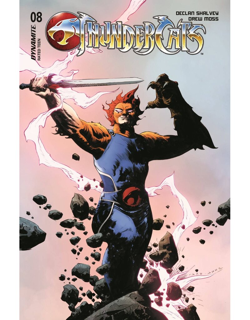 Thundercats #8 Cover D Jae Lee Variant