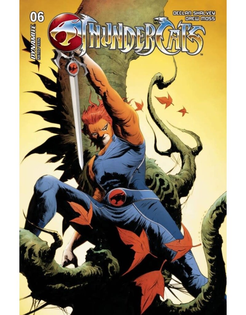 Thundercats #6 Cover D Jae Lee Variant