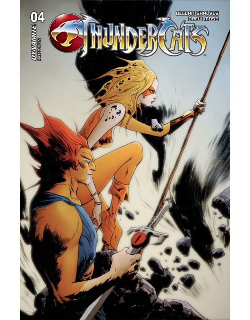 Thundercats #4 Cover D Jae Lee Variant