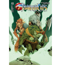 Thundercats #3 Cover D Jae Lee Variant