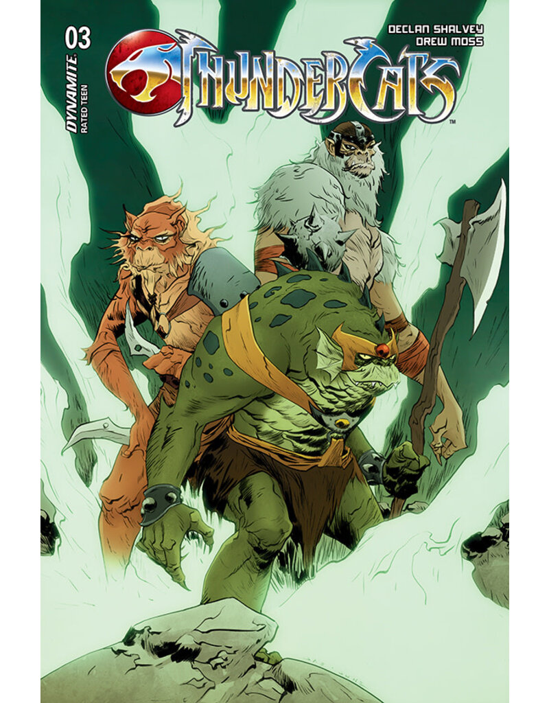 Thundercats #3 Cover D Jae Lee Variant