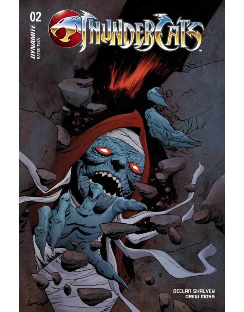 Thundercats #2 Cover D Jae Lee & June Chung Variant