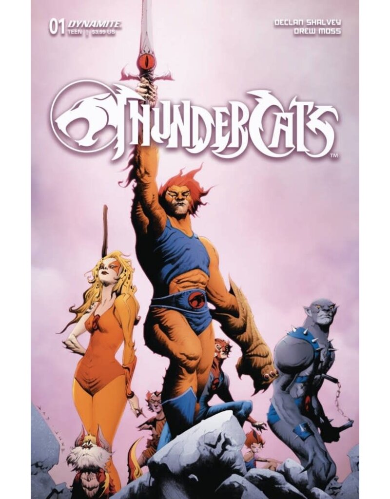 Thundercats #1 Cover D Jae Lee Variant