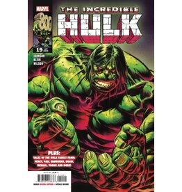 Marvel Comics The Incredible Hulk #19