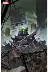 Marvel Comics The Incredible Hulk #19 Martín Cóccolo Stormbreakers Variant