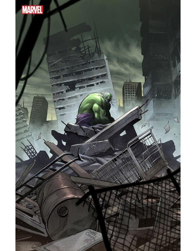 Marvel Comics The Incredible Hulk #19 Martín Cóccolo Stormbreakers Variant