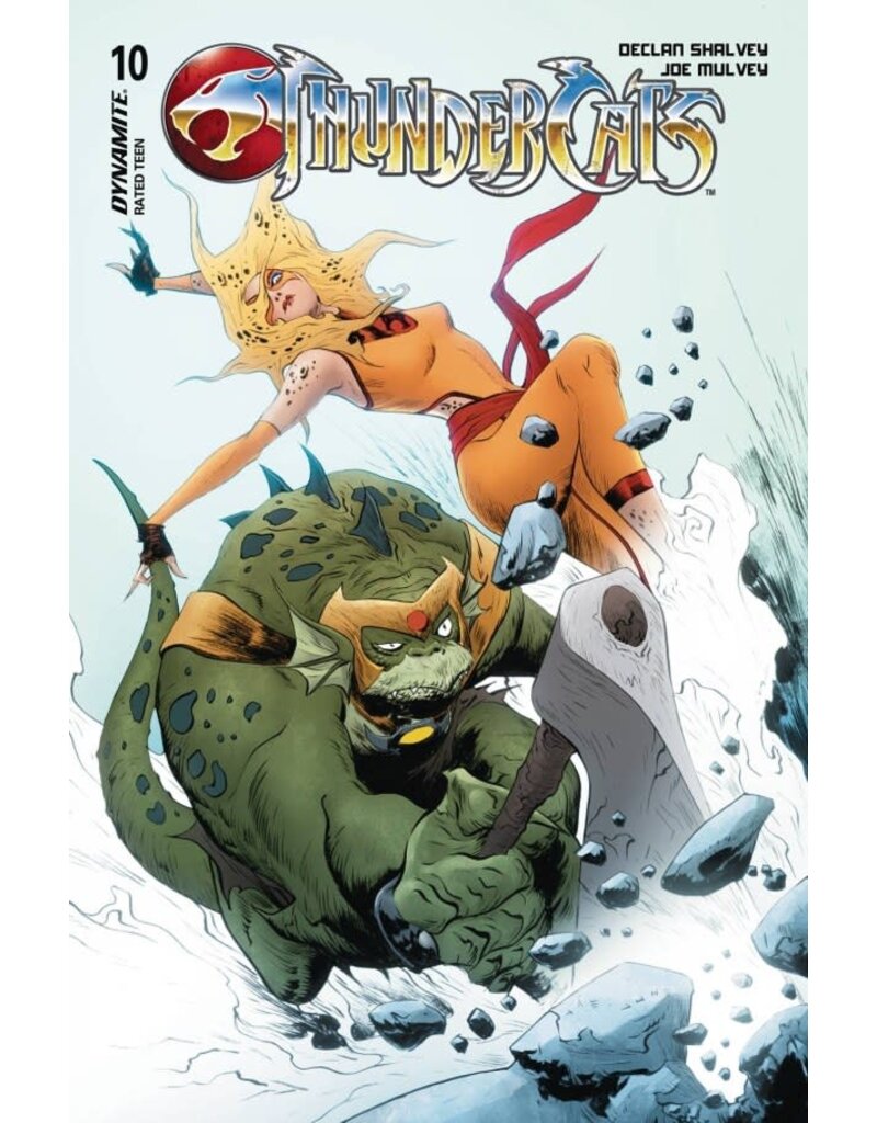 Thundercats #10  Cover D Jae Lee Variant