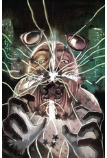 BOOM! STUDIOS In Bloom #1  Cover C 1:10 John Pearson Virgin Variant