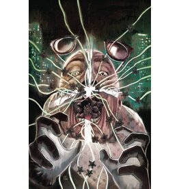 BOOM! STUDIOS In Bloom #1  Cover C 1:10 John Pearson Virgin Variant