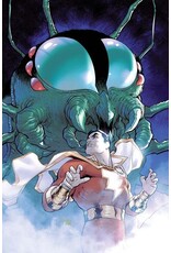 DC COMICS Shazam! #19