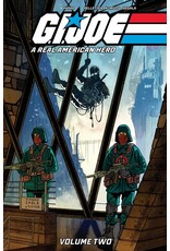 IMAGE COMICS G.I. Joe: A Real American Hero Vol. 2 TP Danny Earls DM Variant