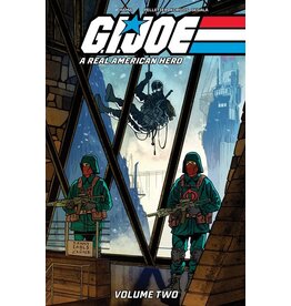 IMAGE COMICS G.I. Joe: A Real American Hero Vol. 2 TP Danny Earls DM Variant