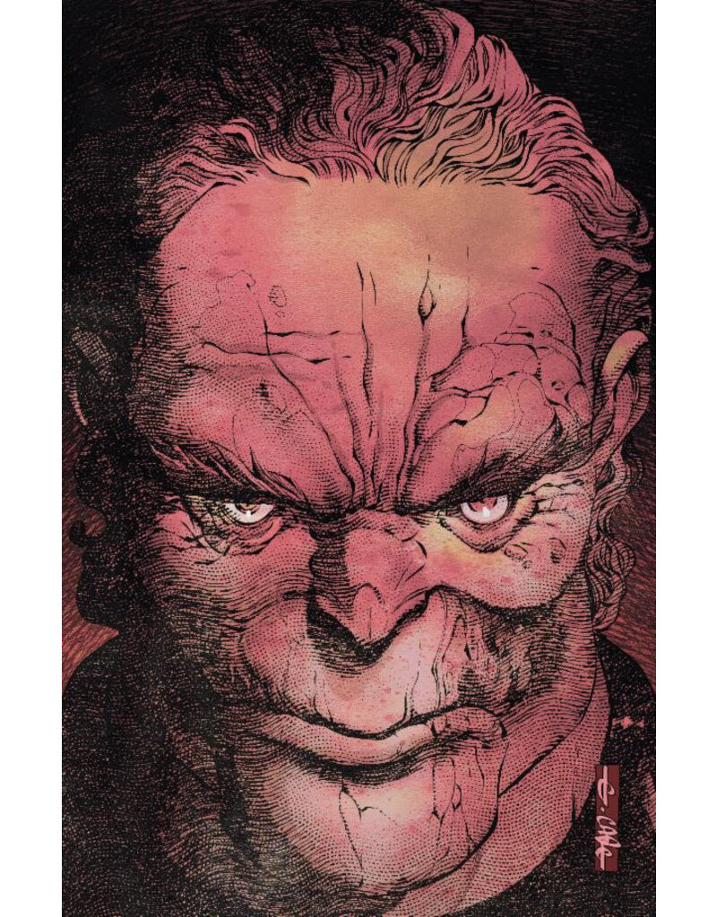 DC COMICS The New Gods #2 Cover C Evan Cagle Birth of a New God Acetate Variant