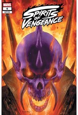 Marvel Comics Spirits of Vengeance #6 Erik M. Gist Variant