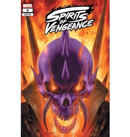 Marvel Comics Spirits of Vengeance #6 Erik M. Gist Variant