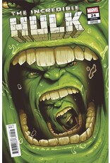 Marvel Comics The Incredible Hulk #24 Doaly Variant
