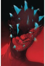 BOOM! STUDIOS Hello Darkness #10  Cover C Christian Ward Virgin Variant
