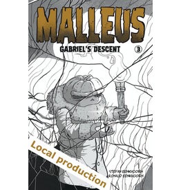 Steen Illustriation Production Malleus 3 - Gabriel’s descent
