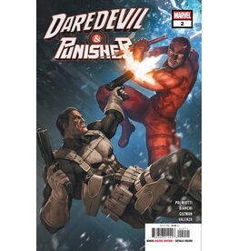 Marvel Comics Daredevil/Punisher: The Devil'S Trigger #2
