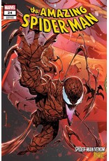 Marvel Comics The Amazing Spider-Man #24 Iban Coello Connecting Variant