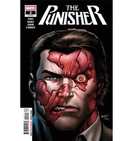 Marvel Comics Punisher #2