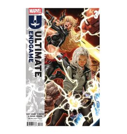 Marvel Comics Ultimate Endgame #3
