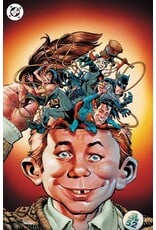 DC COMICS Mad About DC #1 Cover D Dan Panosian Foil Virgin Variant