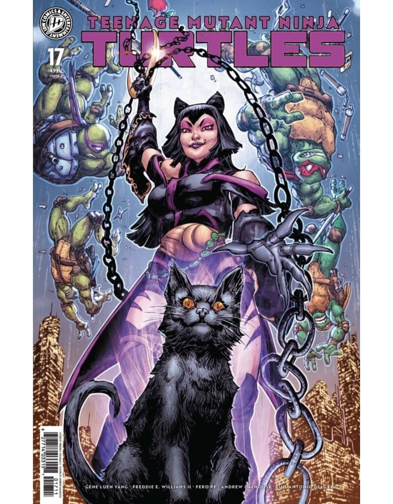 IDW Publishing Teenage Mutant Ninja Turtles #17