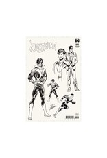 DC NightWing #100
