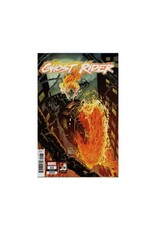 Marvel Ghost Rider #11 1/25 Stegman