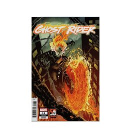 Marvel Ghost Rider #11 1/25 Stegman