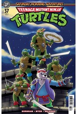 IDW Publishing Teenage Mutant Ninja Turtles: Saturday Morning Adventures #37 Cover C Jonathan Miller Variant