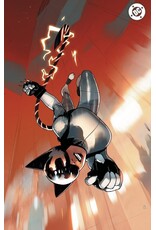 DC COMICS Absolute Catwoman #1 Cover E Bengal Foil Virgin Variant