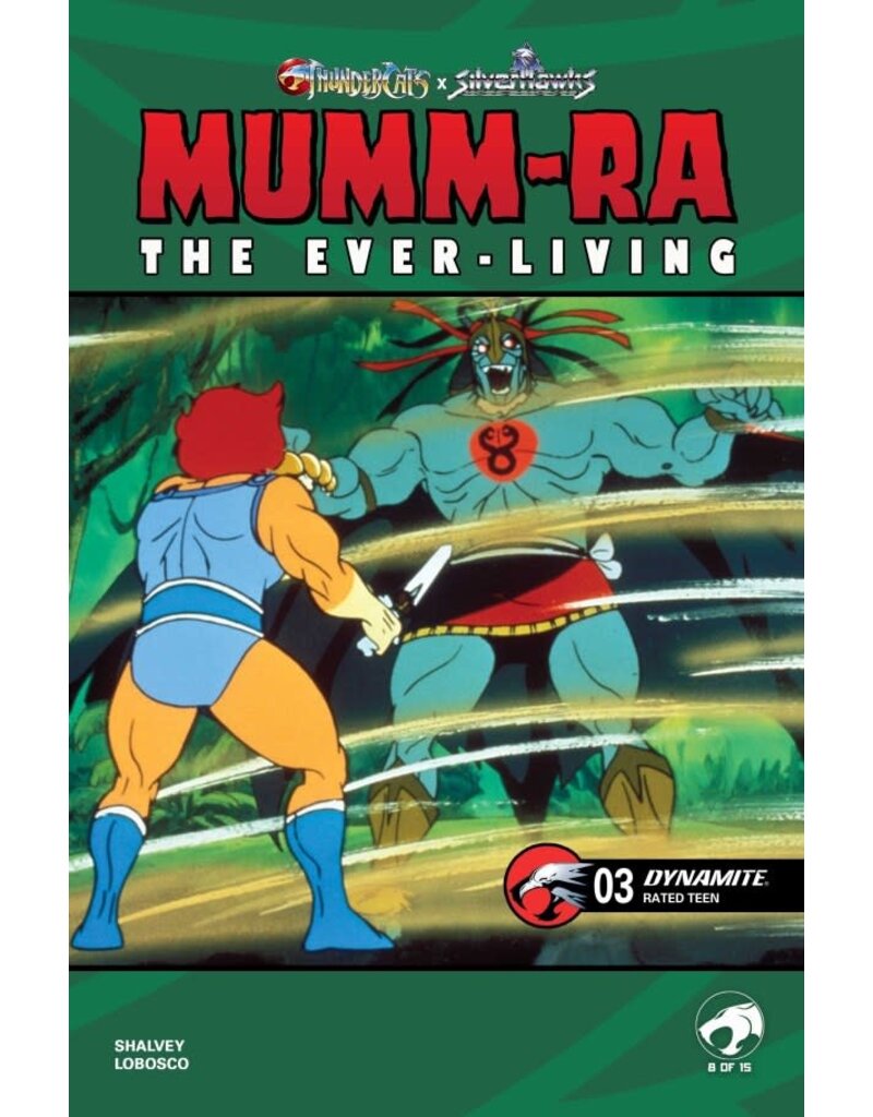 Mumm-Ra the Ever-Living #3 Cover E Animation Art Variant