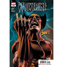 Marvel Comics Wolverine #22