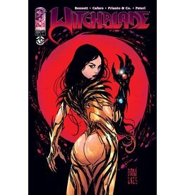 IMAGE COMICS Witchblade #23 Cover B Dani Variant